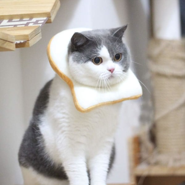 Kreativ mjuk brödskiva krage för katt, rostat bröd-formad katt