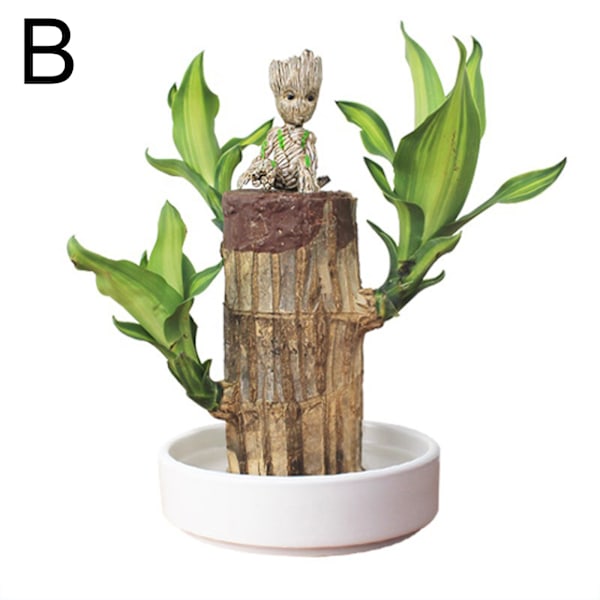 Groot Lucky Wood Hydroponic Green Modern dekorativ växtkruka för kontorshem B