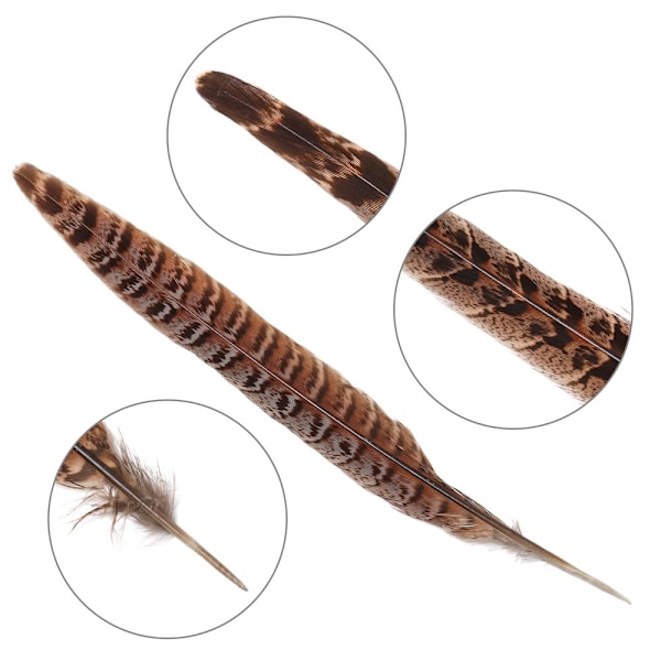 Fjer Svanefjer 15-20CM - spot salg 15-20cm