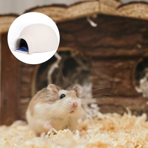 Keramisk Hamsterhus Liten Kjæledyr Hamster Kjølig Hule Reir Mini Hytte