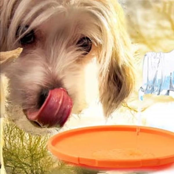 6 kpl koiran frisbee - 17,5 cm - koiran frisbee luonnonkumista
