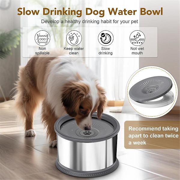 6,5L Vandbeholder til Hunde, 1,6 Gallon, Ekstra Stor Kapacitet, Spildfri, Rustfrit Stål