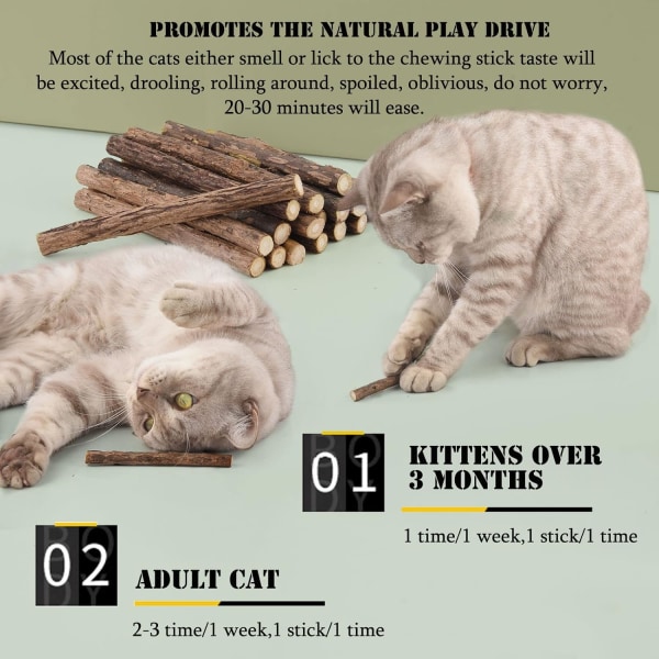 Förpackning med 20 kattpinnar, torkad kattmynta naturlig kattmynta tugga Sti