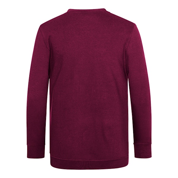 AWDis Academy Barn/Barn Junior V-hals Skoltrøje/Sweatshirt Burgunder 7-8 Years Burgundy