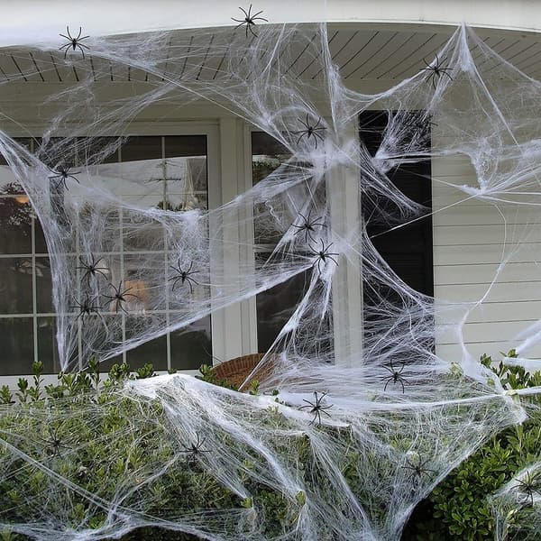 Halloween-spindelvevsdekorasjon med falske edderkopper for fest og hjem