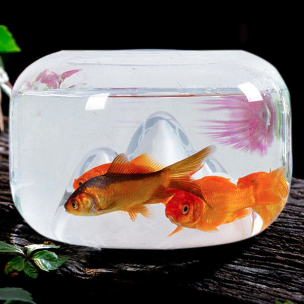 Fiskskål, Akvarium Dekoration Prydnad