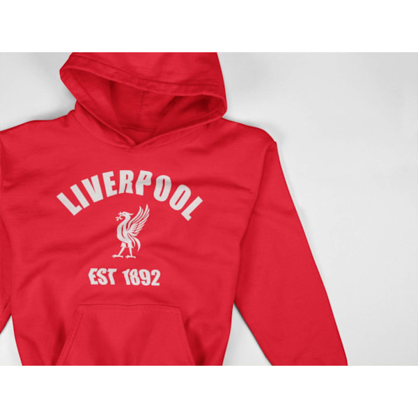 Liverpool hettegenser Hoodie Sweatshirt 1892 t-skjorte Rød Red 152 cl 12-13 år