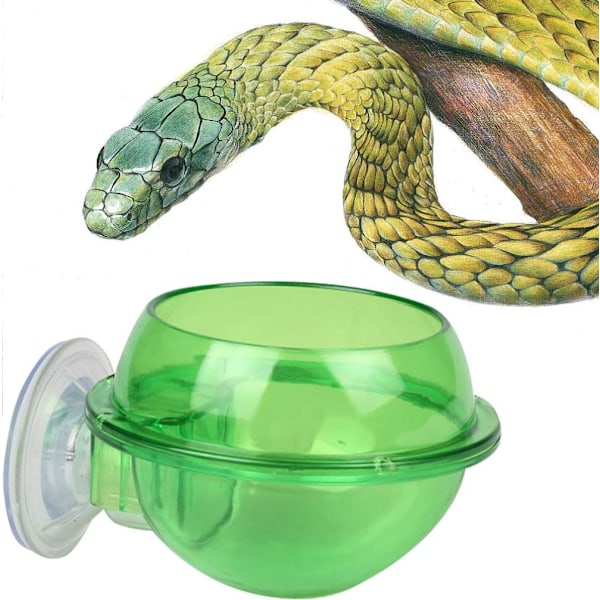 2PCS Sugkopp Reptil Matare Anti-Escape Reptil Mat Skål