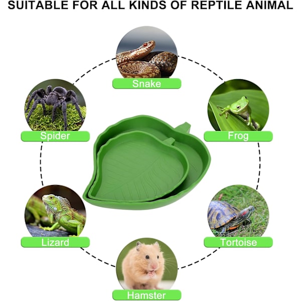 Blad Reptil Mad og Vandskål, 2 Stykker Reptil Skildpadde Madskål