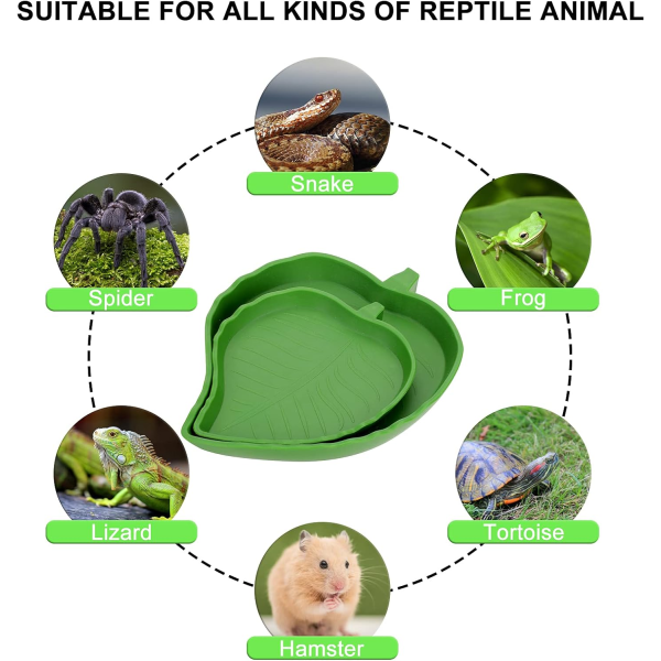 Bladreptilmatskål för vatten, 2 stycken reptilsköldpaddsmatskål