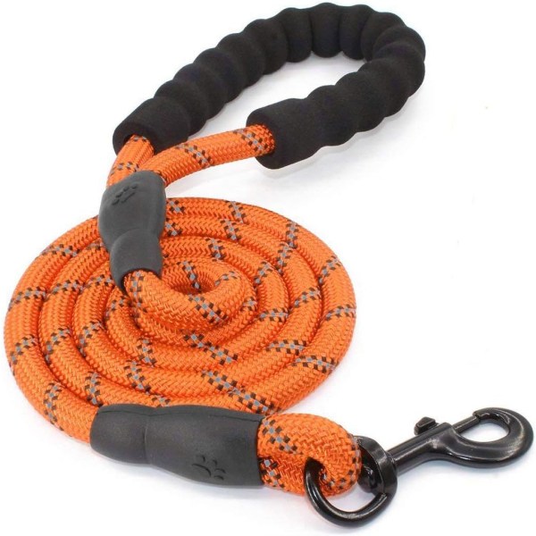 Sturdy dog leash with comfortable padded handle for training