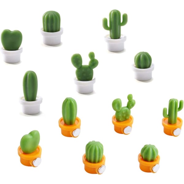 12 søde magnetiske køleskabsmagneter til sukkulente planter