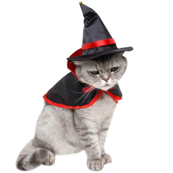 Halloween kæledyrskostume til katte og hunde - juleforvandlingskappe-FA-