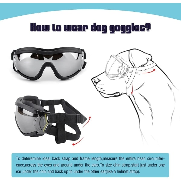 Hundglasögon UV-skydd Vattentätt vindtätt ögonskydd