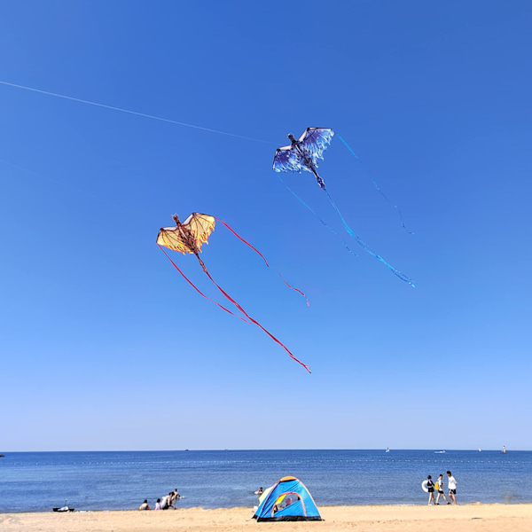 SEW Dragon Kite for Kids & Adults, Easy to Fly Kite for Beginners,Large Single Line Kite for Beach Trip