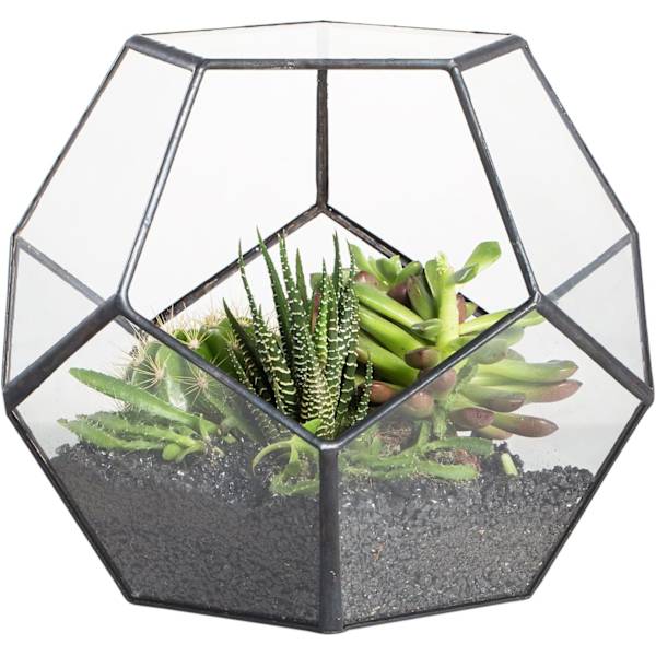 5,9\" geometrisk terrariumkrukke i sort glas, håndlavet Pentagon C