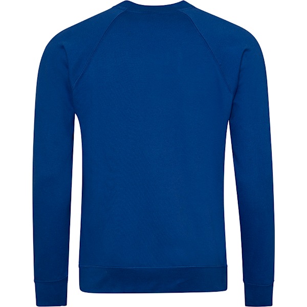 AWDis Academy Crew Neck Raglan Genser Herre M Deep Royal Deep Royal Deep Royal M