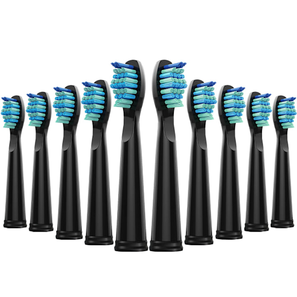 10-pack Tandborsthuvuden för Fairywill FW-507/508/(Svart)