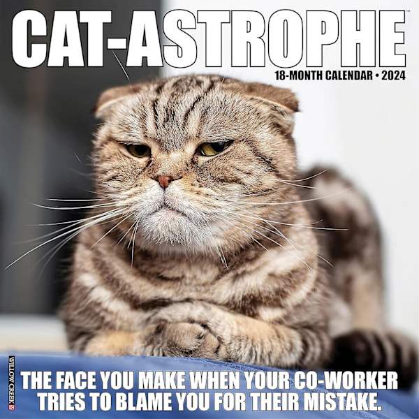 2024 Kalender, 2024 Pissed-off Cats Väggkalender, 2024 Roliga Katter Hängande Månatliga Väggkalendrar, Sassy Julklapp till Kattälskare 2PCS B