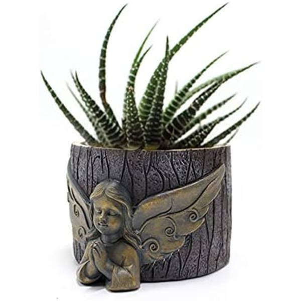 Sett med 2 blomsterpotter i harpiks til sukkulenter - Bonsai-Little Angel