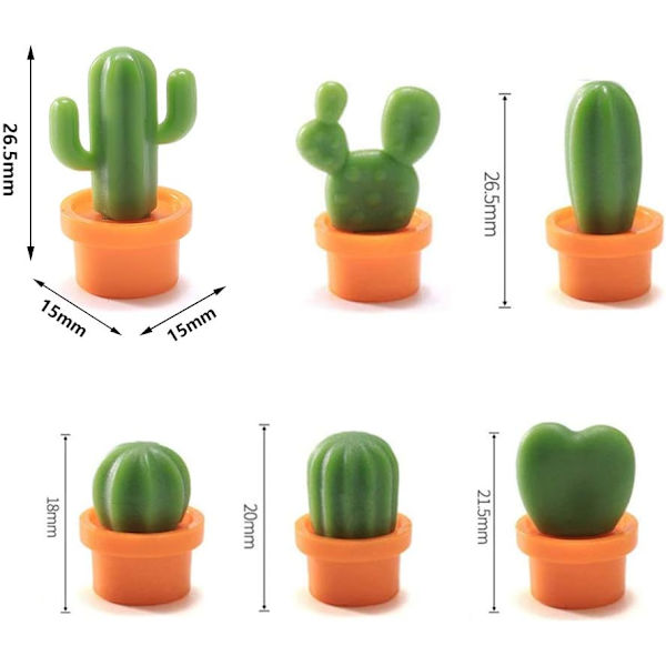 12 søde magnetiske køleskabsmagneter til sukkulente planter
