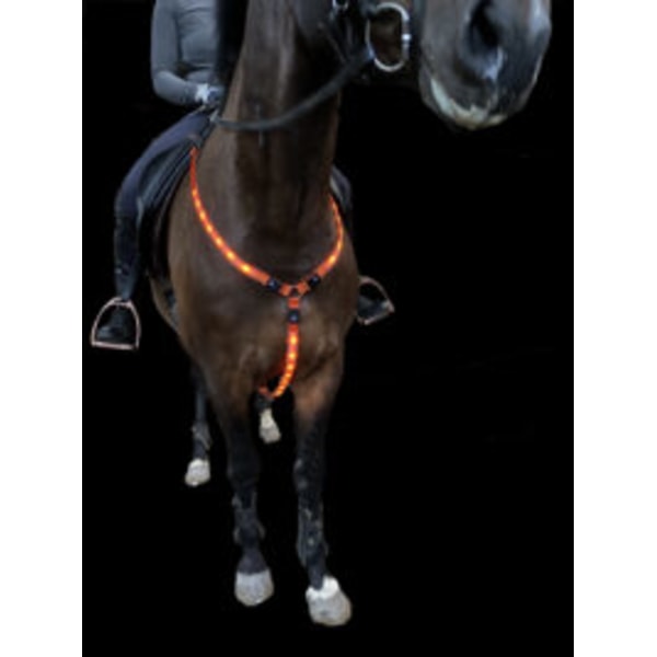 LED bryststropp for hest. LADDBAR. PONNI/COB