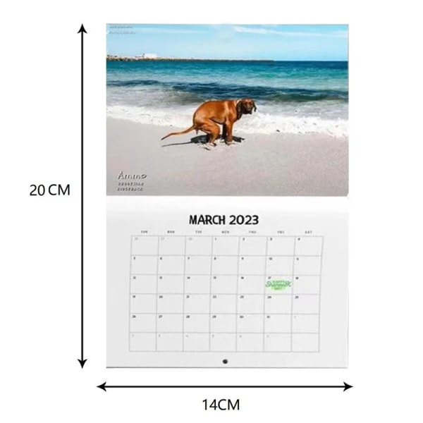 Creative Nature's Cock Shot 2023 Kalender Rolig Kalender Naturlandskap Väggkalender Snygg och intressant kalenderpresent