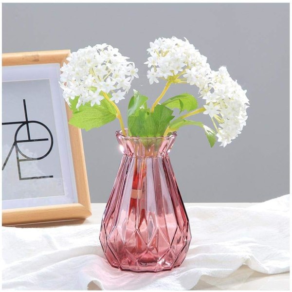 Glasvase Blomster Vase Stor Transparent Blomster Vase Hydroponisk