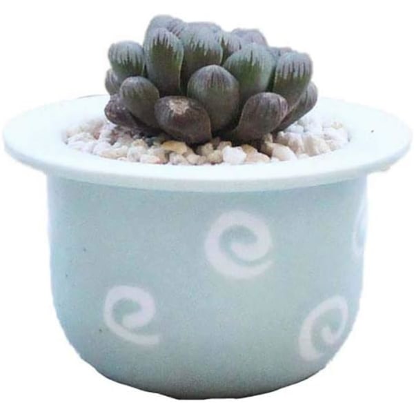 Mini Flower Pots for Succulents - Modern -Cactus-Juicy Flowerpot