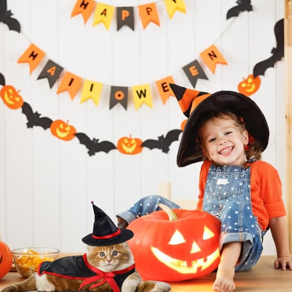 Kæledyr Halloween Kappe Kostume til Små Hunde og Katte, Heksekappe med Bindebånd
