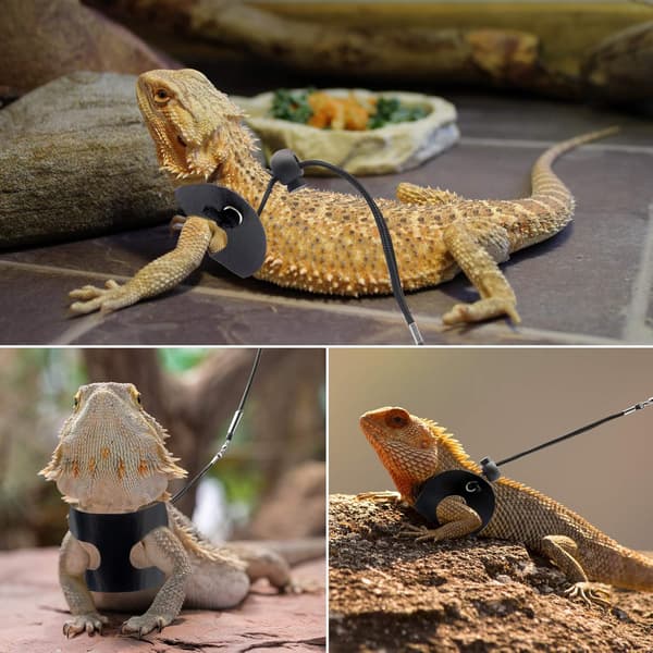 Bearded Dragon Harness & Leash 2-Pack - Adjustable Reptile Vest with Secure Straps for Lizards, Amphibians & Small Pets (S/M/L)-FA-