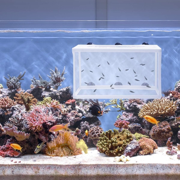 Fiskodling för akvarium - Fiskodlingsnät Häng på uppfödningslåda