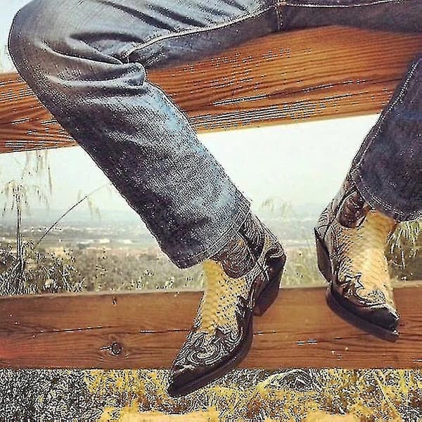 Python Western Støvle Colorblock Broderi Herre Støvler Mode Moderne Sko 44