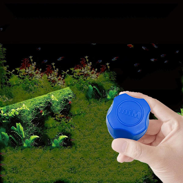 Akvariemagnetisk borste Mini magnetisk algskrapa Akvarium