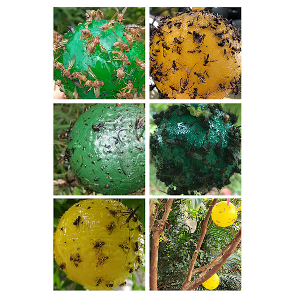 8 stk Hengende Fluesnapper Ball Frukt Fluesnapper Sticky Trap Utendørs Skadedyr Felle for Hageplanter 1.1