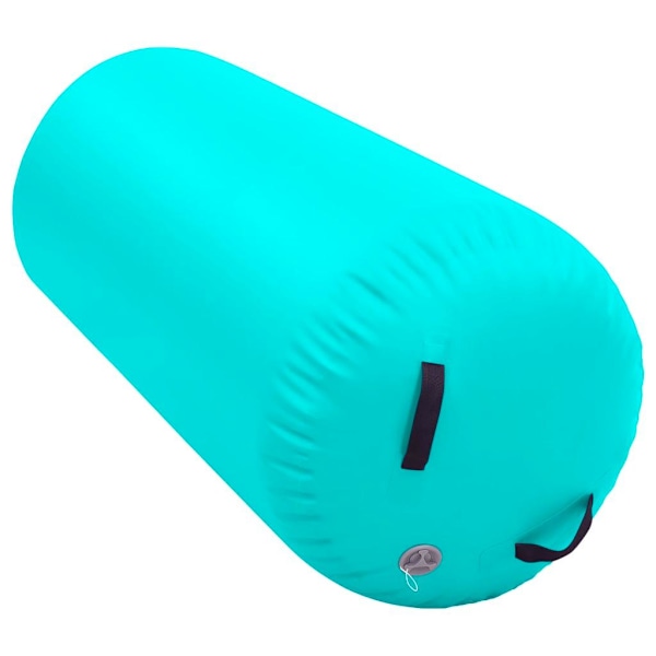 vidaXL Oppustelig Gymnastikrulle med Pumpe 120x90 cm PVC Grøn Grön 6550