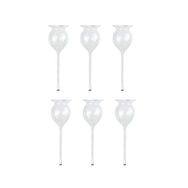 6 stk plante vandkande selvvanding jordklode selvvanding håndblæst klart glas plantevandløg til indendørs