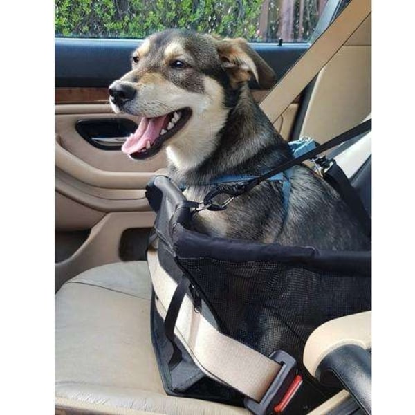 Bilstol til Hund / Kat - Sort black 1200
