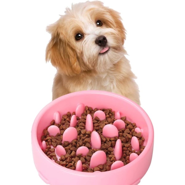 Langsomt foderskål til hunde Langsomt foderskål til hunde Hundefoderautomater og