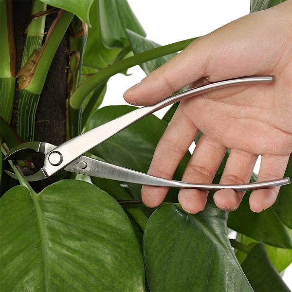 Professionell rundkantsskärare i rostfritt stål Trädgårdsgrenkutter Bonsai-verktyg 0.3