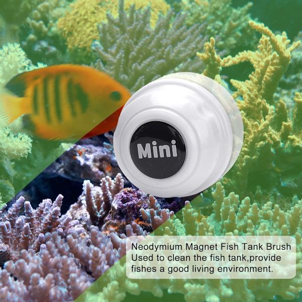 Mini magnetisk akvariebørste - Akvarierenser - Bærbar (hvid)