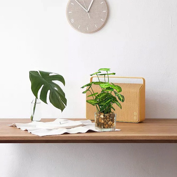 Glassflaske med kunstig plante i vintergrønn kløverdesign