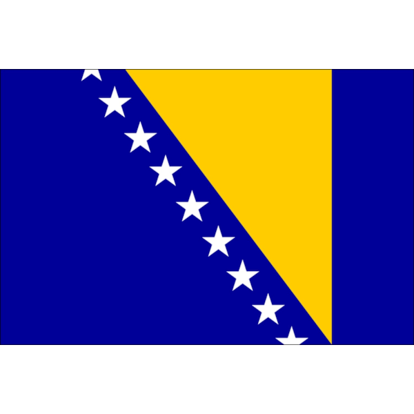 Flag - Bosnien 100 Bosnia