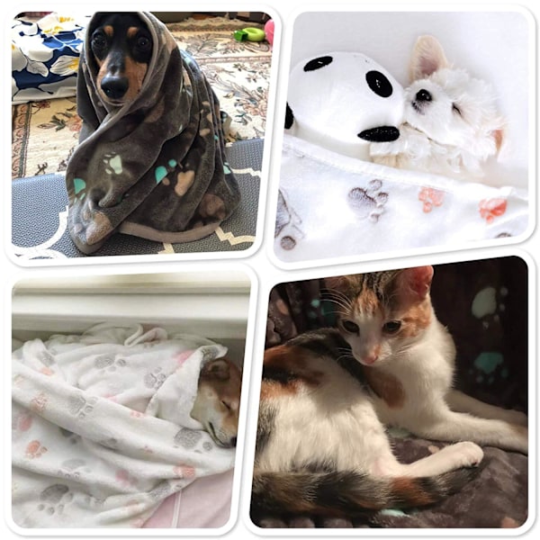 Hunde- og kattepude 27,55\" x 31,49\", superblød og fluffy højkvalitets kæledyrsfilt, hvid koralfleece varmt tæppe med søde hundepote-mønstre-FA5-