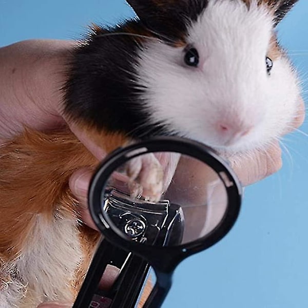 Hamster Nagelklippare med Förstoringsglas - Säker Nagelvård-FA5-
