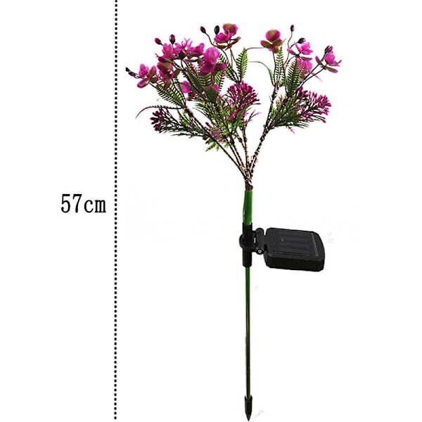 Aurinkokenno Phalaenopsis Puutarhavalot Ulkokoriste Pihalle, Puutarhaan, Nurmikolle, Kävelytielle (2 kpl)