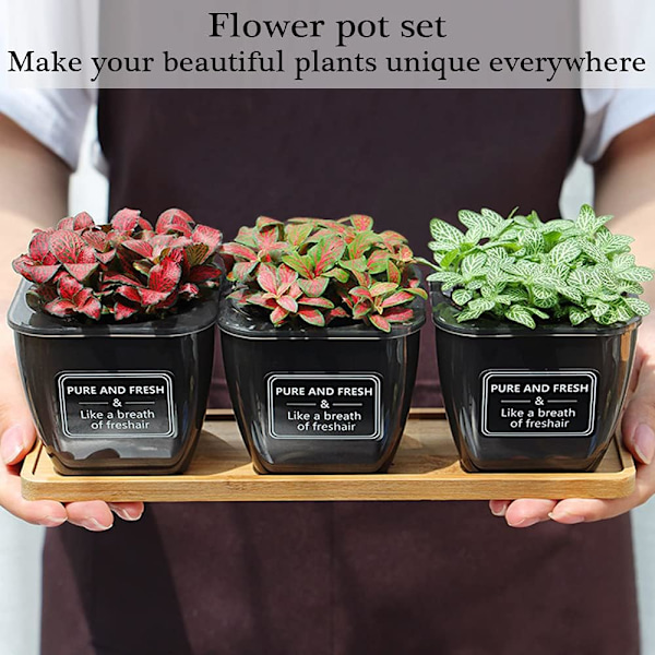 3 stk urtepotte, innendørs urtepotte, automatiske vanning blomsterpotter