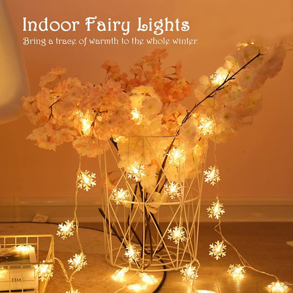 6m 40 Lys Fairy Batterilamper (varm hvid)