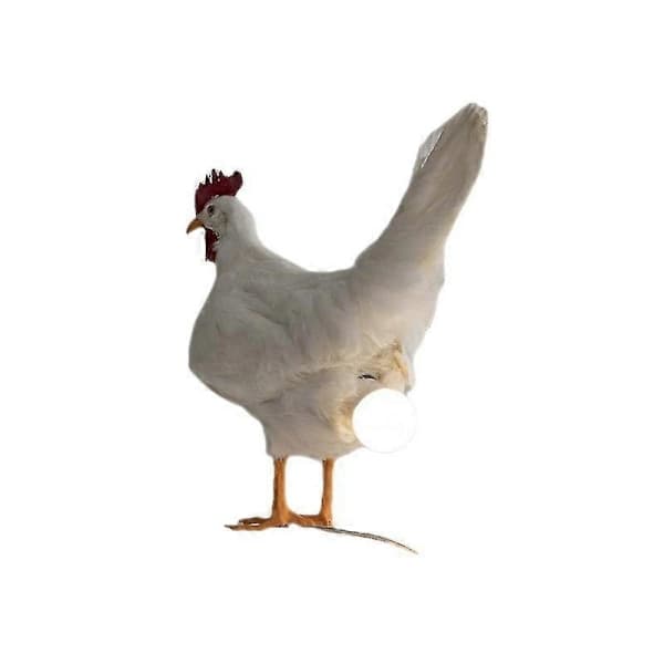Morsom dekorasjon Kylling LED-lampe Kyllingegg Nattlys Utstoppet Egg Bordlampe-FA-