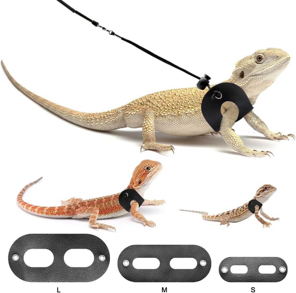Bearded Dragon Harness & Leash 2-Pack - Adjustable Reptile Vest with Secure Straps for Lizards, Amphibians & Small Pets (S/M/L)-FA-